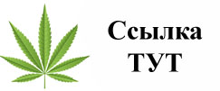 Купить наркотики в Новопавловске